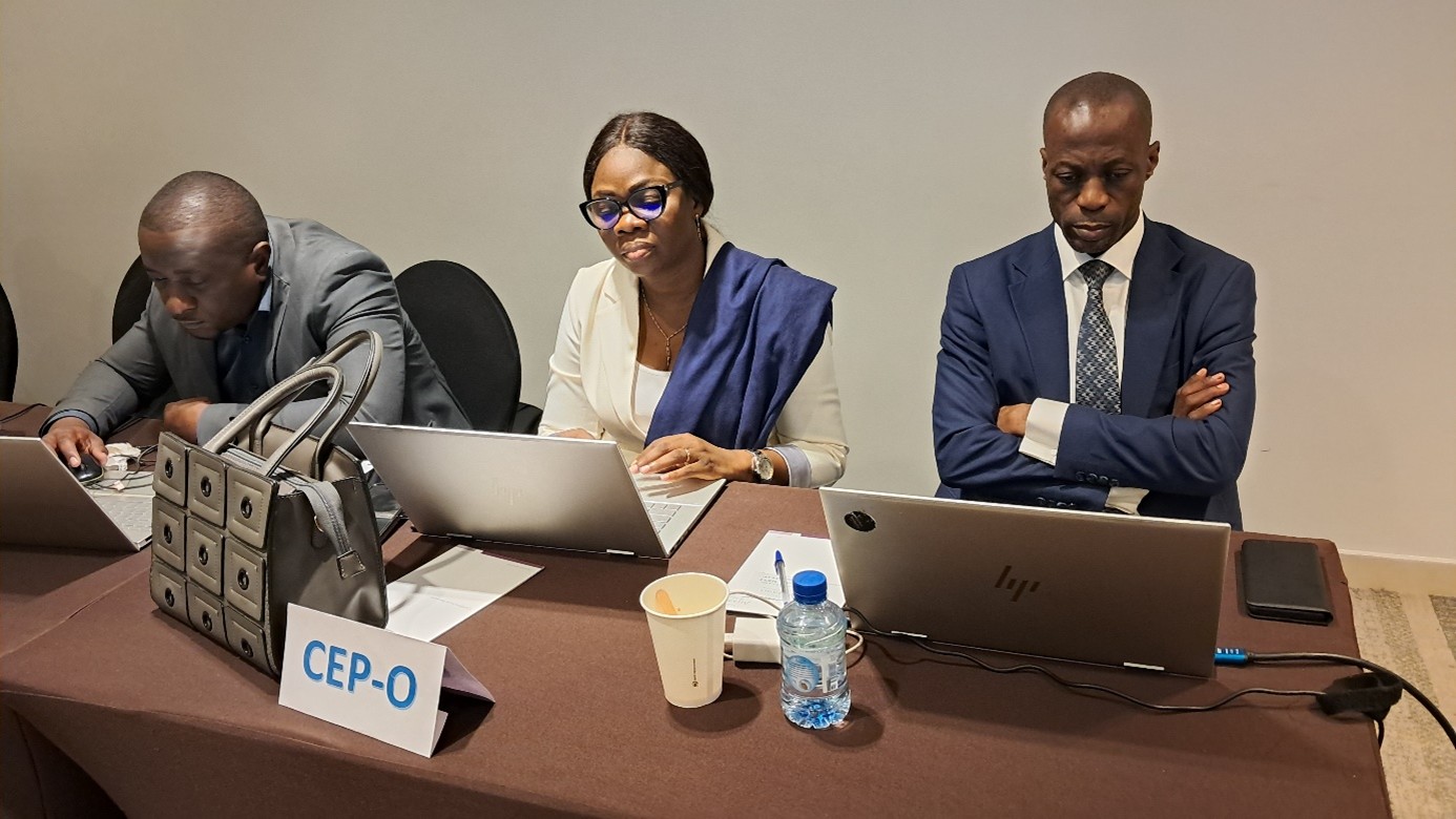 REUNION DE CONCERTATION DES ACTEURS DU SECTEUR DE L'EAU DANS LE CADRE DES ACTIVITES DE CLARIFICATION DES MANDATS D'APPROVISIONNEMENT EN EAU EN MILIEU RURAL EN RDC